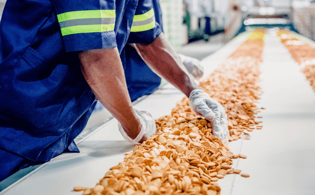 food manufacturing worker lining up chips on conveyor belt